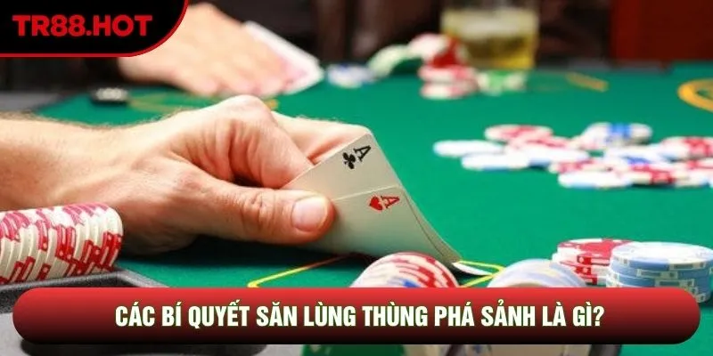 Các bí quyết săn lùng thùng phá sảnh là gì? Các bí quyết săn lùng thùng phá sảnh là gì?