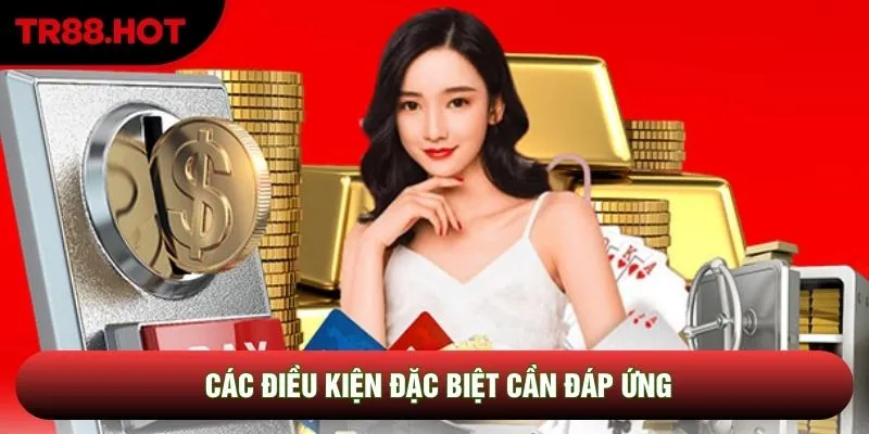Các điều kiện đặc biệt cần đáp ứng Các điều kiện đặc biệt cần đáp ứng