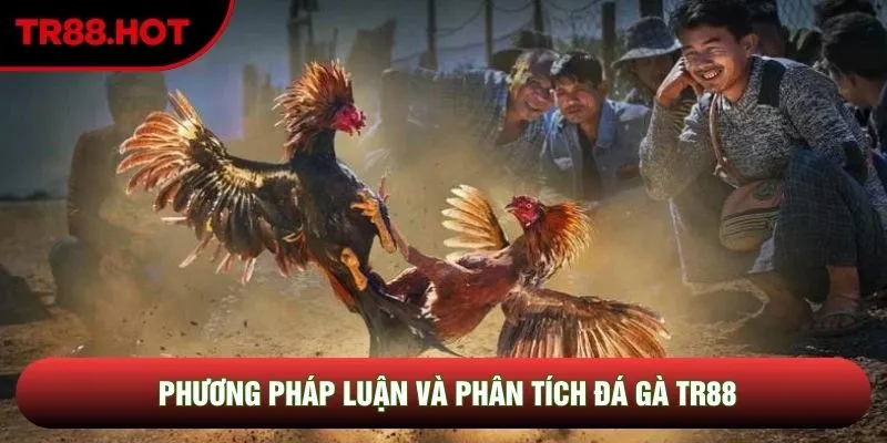 Phương pháp luận và phân tích đá gà TR88 Phương pháp luận và phân tích đá gà TR88