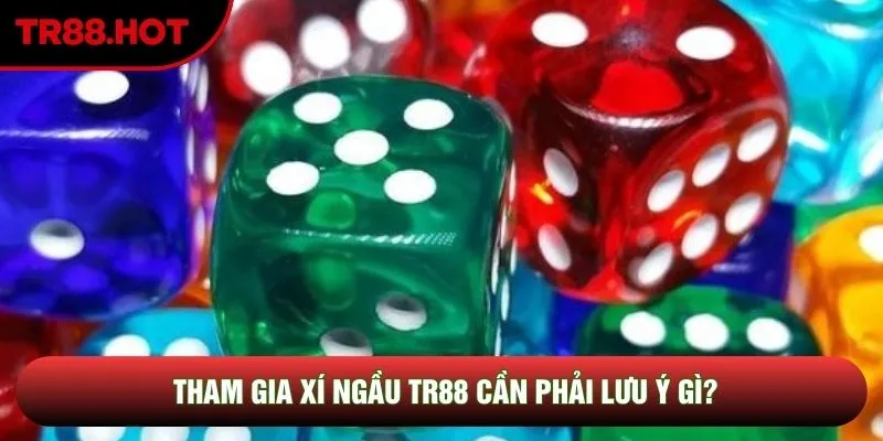 Tham gia xí ngầu TR88 cần phải lưu ý gì? Tham gia xí ngầu TR88 cần phải lưu ý gì?